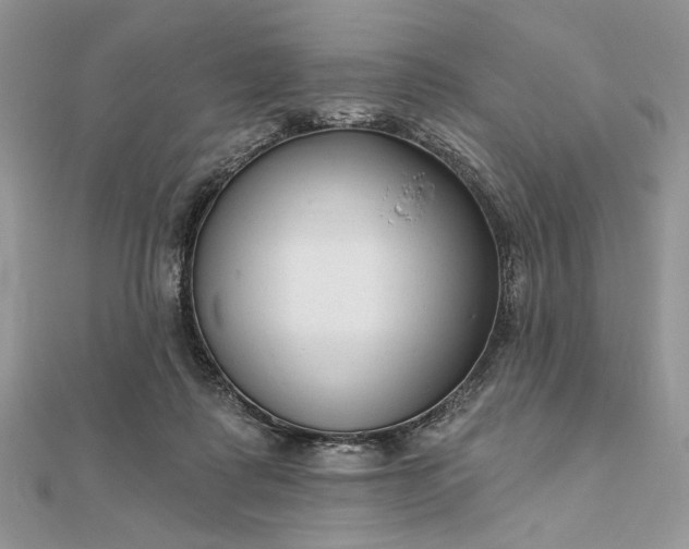 X0000111670315200907311204