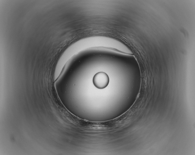 X0000111670316200907311204