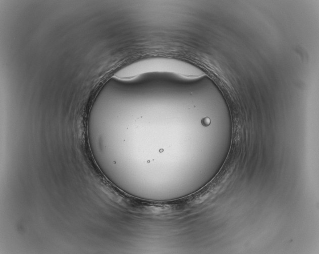 X0000111670317200907311204