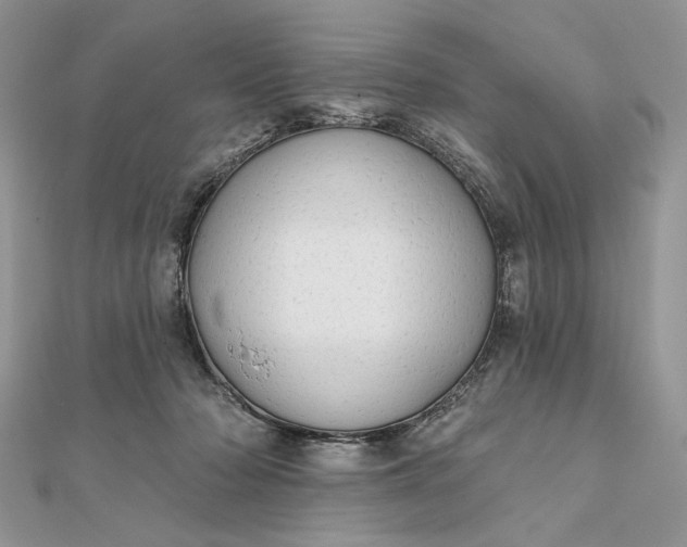 X0000111670318200907311204