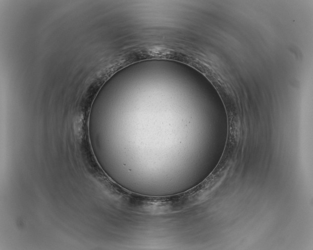 X0000111670319200907311204