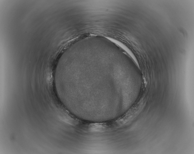 X0000111670320200907311204