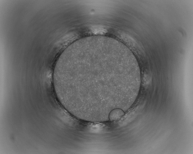 X0000111670321200907311204