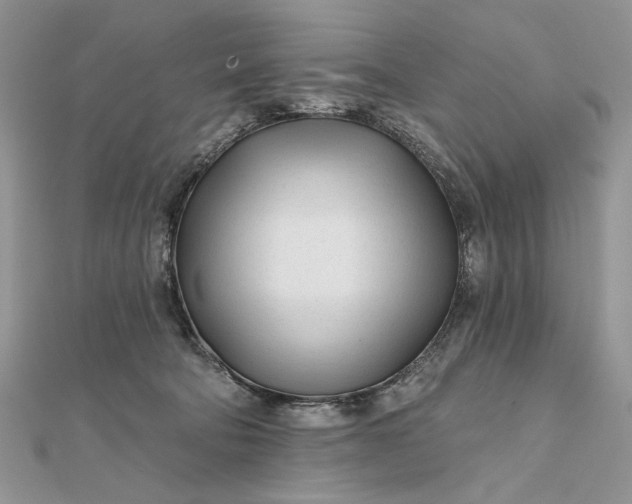 X0000111670322200907311204