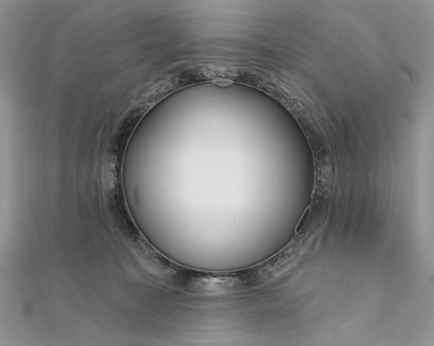 X0000111670323200907311204