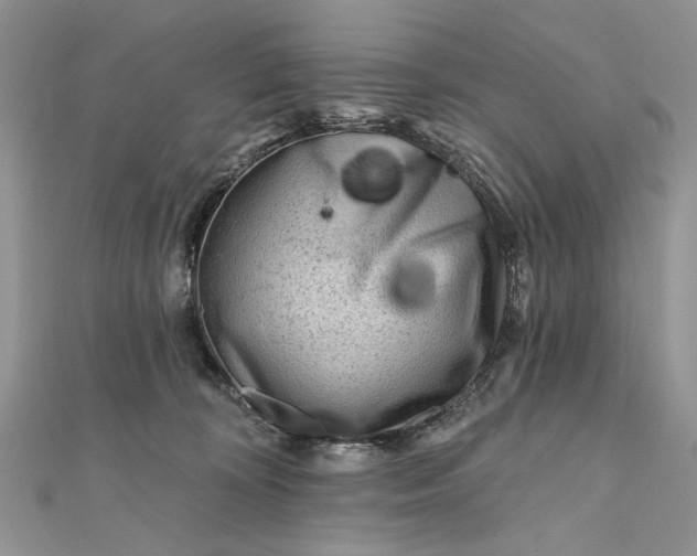 X0000111670324200907311204