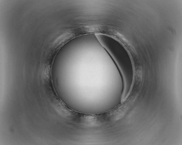 X0000111670325200907311204