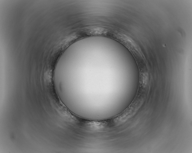 X0000111670326200907311204