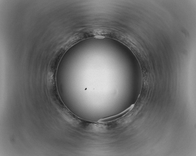 X0000111670327200907311204