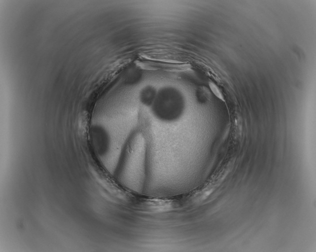 X0000111670328200907311204