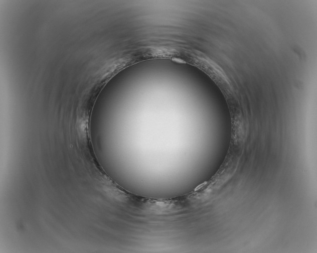 X0000111670329200907311204