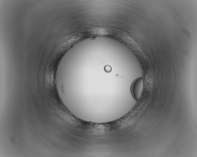 X0000111670330200907311203