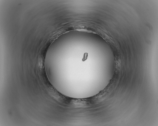 X0000111670331200907311203