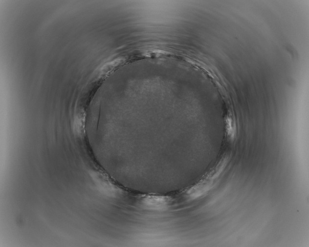 X0000111670332200907311203