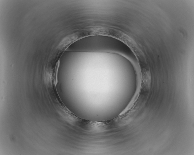 X0000111670333200907311203