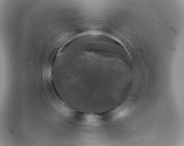 X0000111670336200907311203