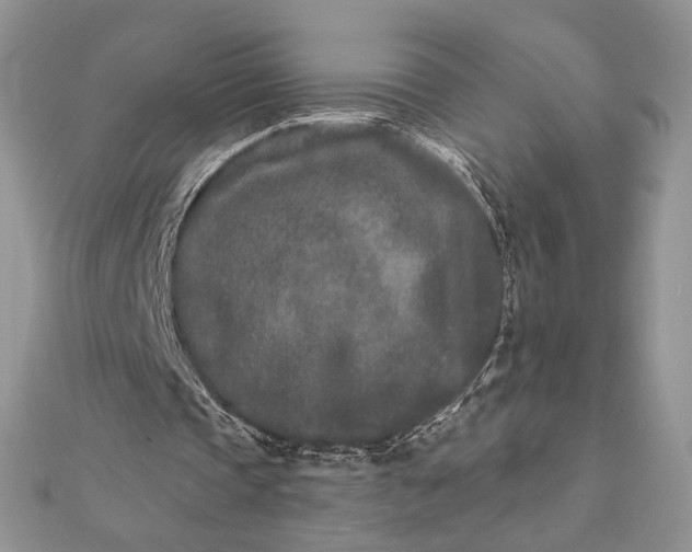 X0000111670337200907311203