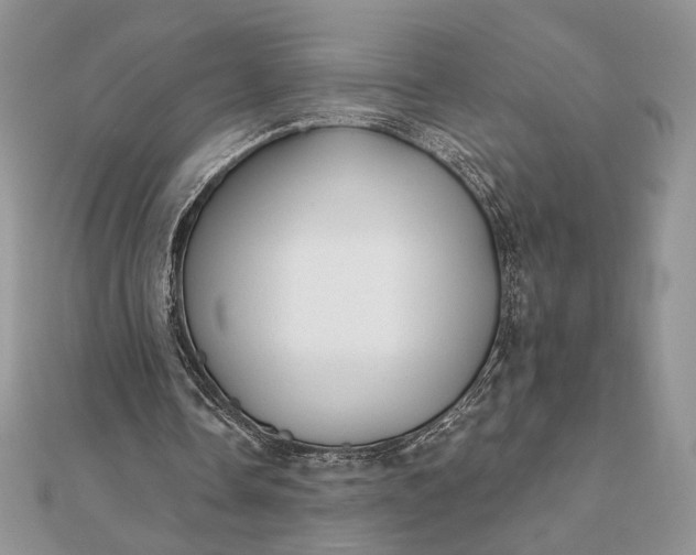 X0000111670338200907311203