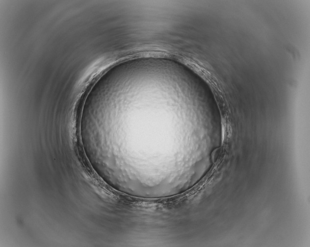 X0000111670339200907311203