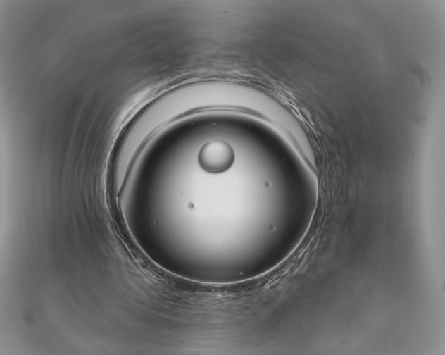 X0000111670340200907311203