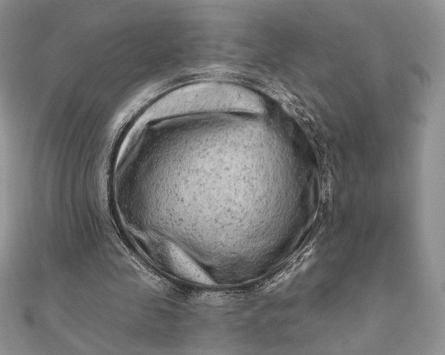 X0000111670341200907311203