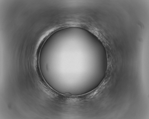 X0000111670342200907311203