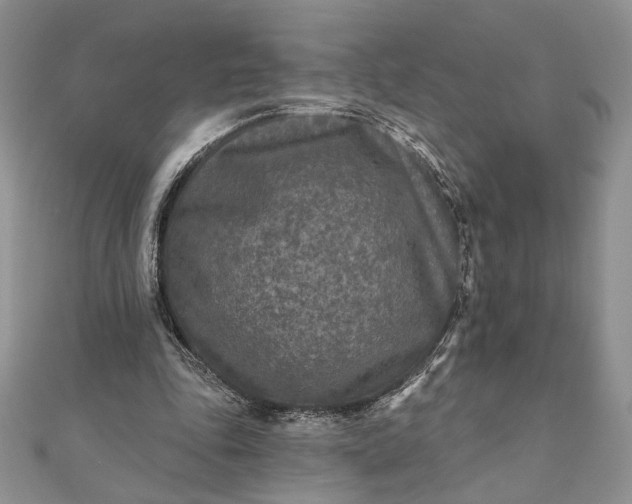 X0000111670343200907311203