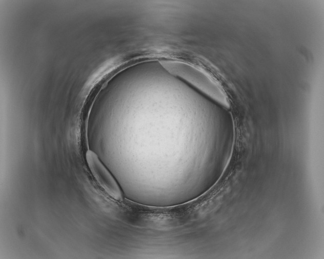 X0000111670344200907311203