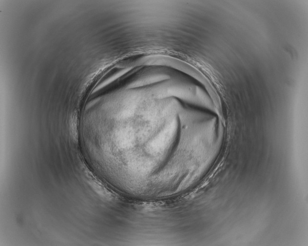 X0000111670345200907311203