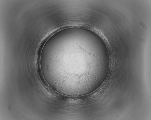 X0000111670346200907311203