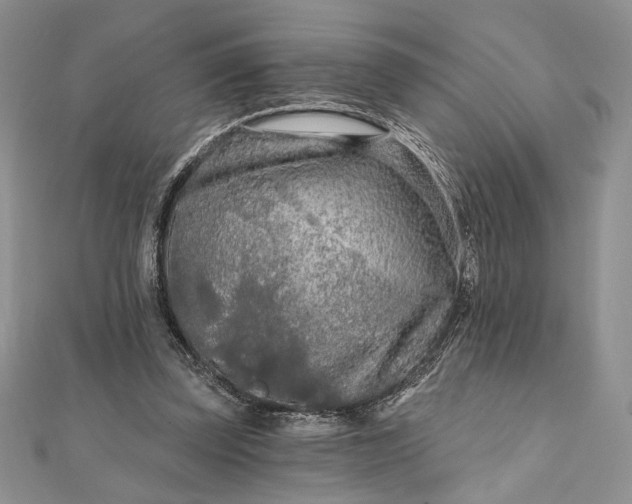 X0000111670347200907311203