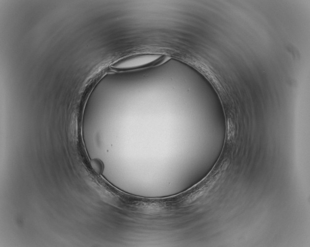 X0000111670349200907311203