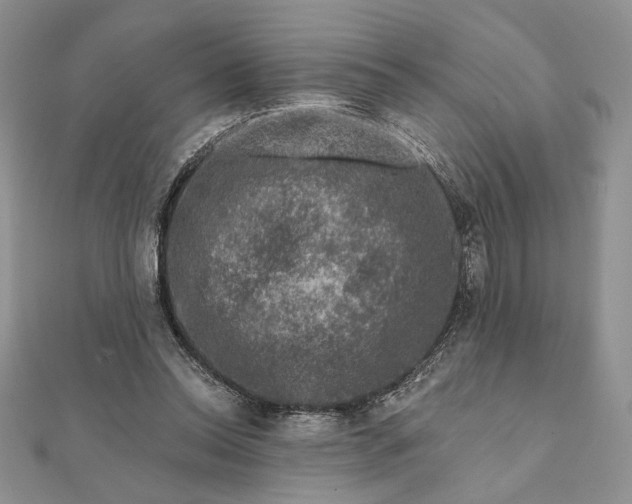 X0000111670350200907311203