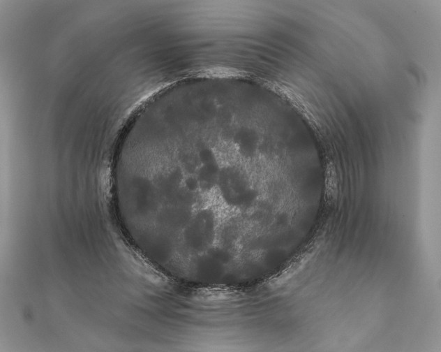 X0000111670351200907311203