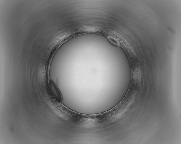 X0000111670352200907311203