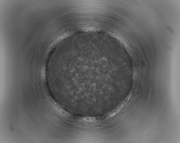 X0000111670353200907311203