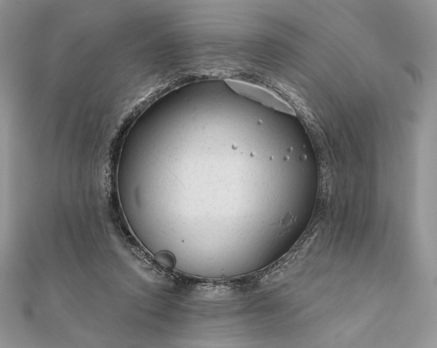 X0000111670354200907311203