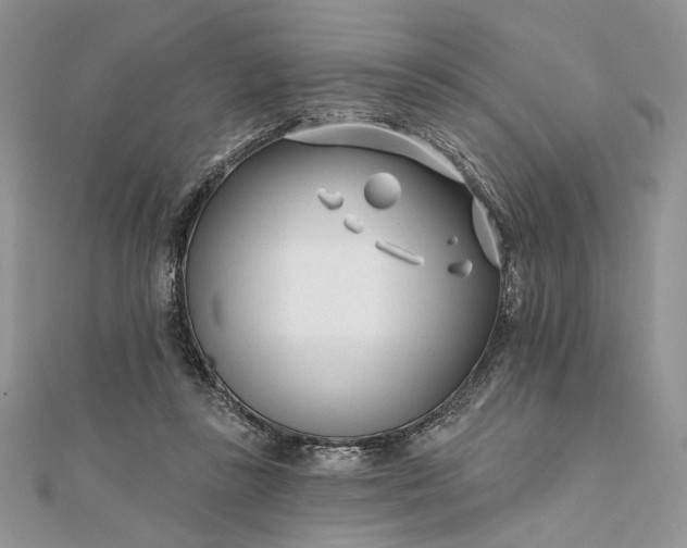 X0000111670355200907311203