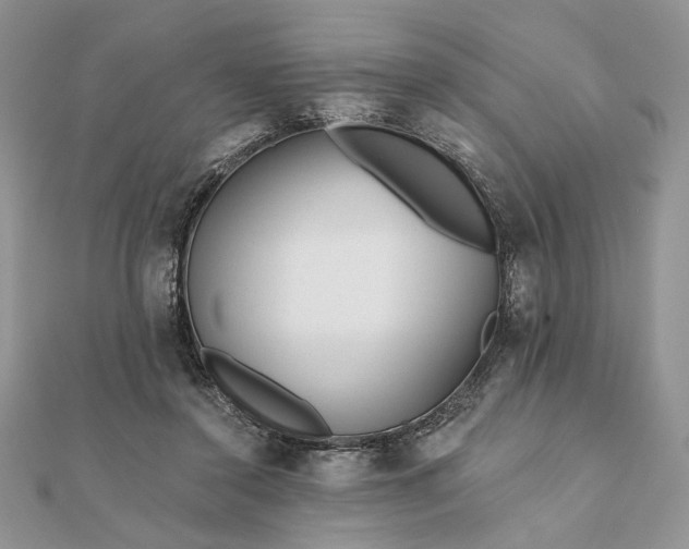 X0000111670356200907311203