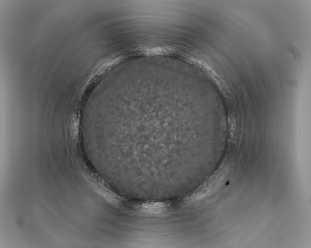 X0000111670357200907311203