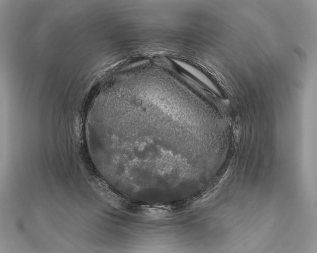 X0000111670359200907311203