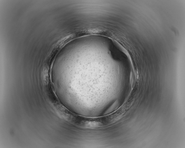 X0000111670360200907311203