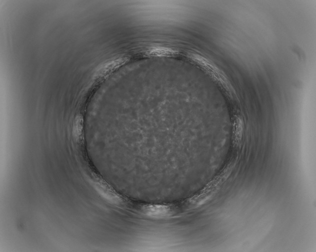 X0000111670361200907311203