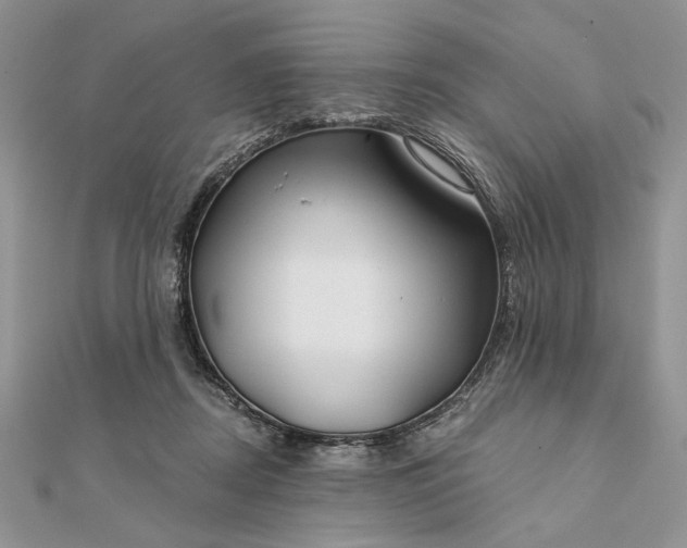 X0000111670362200907311203