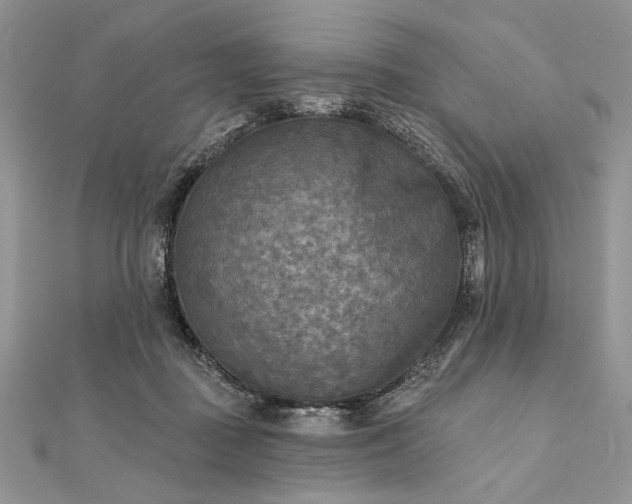 X0000111670363200907311203