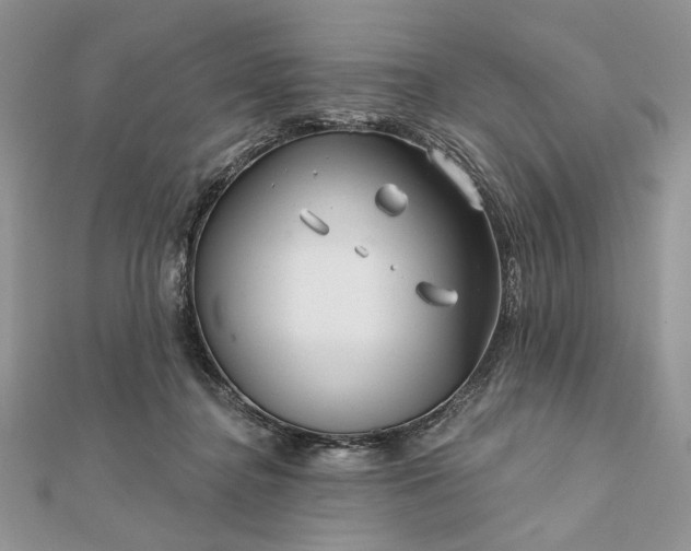 X0000111670364200907311203