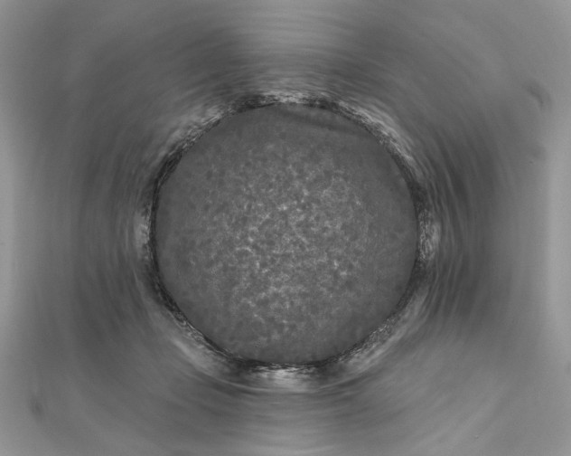 X0000111670365200907311203