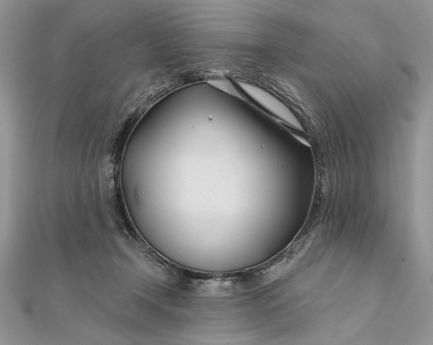 X0000111670366200907311203