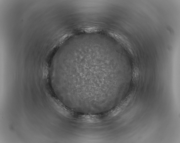 X0000111670367200907311203