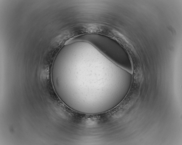 X0000111670368200907311203